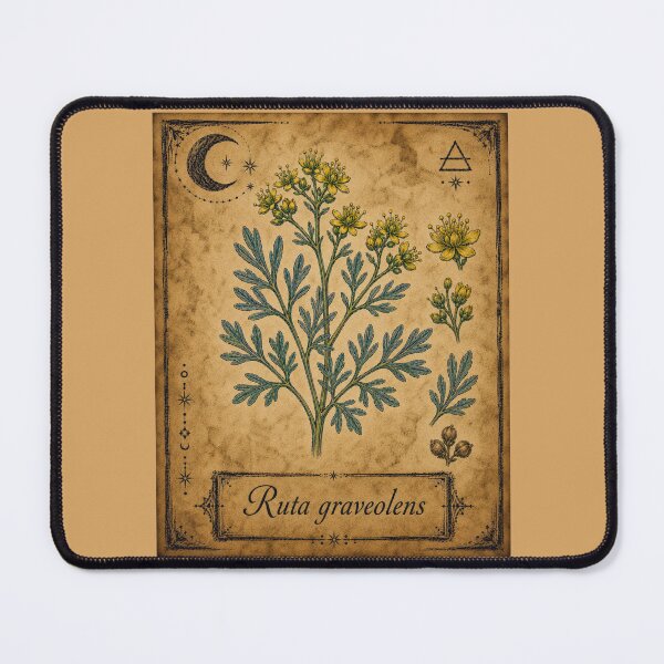 Item preview, Ruta graveolens – Witchy Herbarium Collector’s Edition designed and sold by JOANNASKAH.