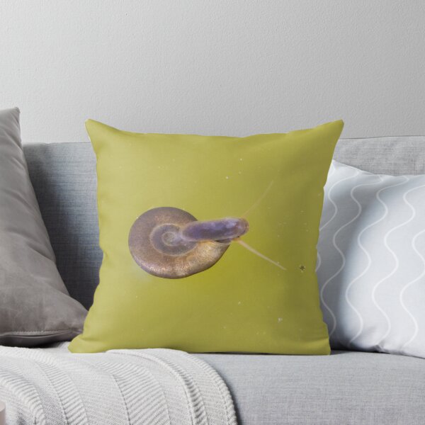 Item preview, Great Ramshorn Snail designed and sold by LaurenTucker.