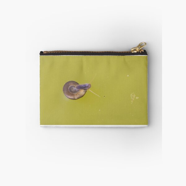 Item preview, Great Ramshorn Snail designed and sold by LaurenTucker.