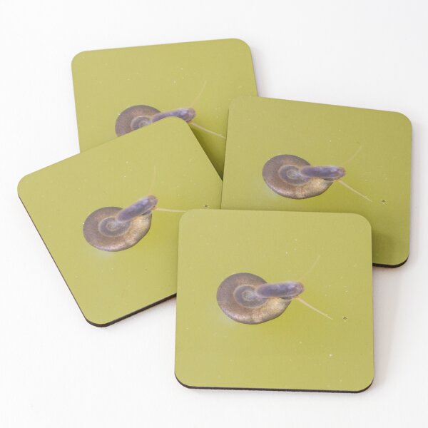 Item preview, Great Ramshorn Snail designed and sold by LaurenTucker.