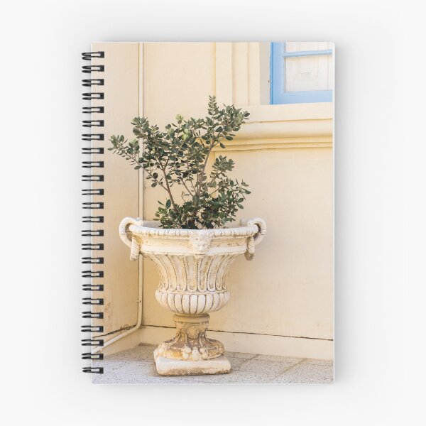 Item preview, Antique Stone Planter With Green Shrub Beside Pale Wall And Blue Window Frame designed and sold by Nmallia.