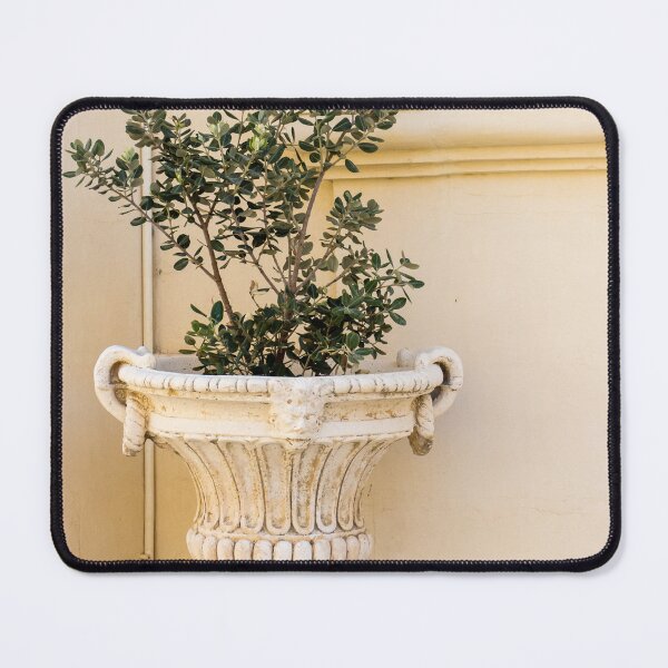Item preview, Antique Stone Planter With Green Shrub Beside Pale Wall And Blue Window Frame designed and sold by Nmallia.