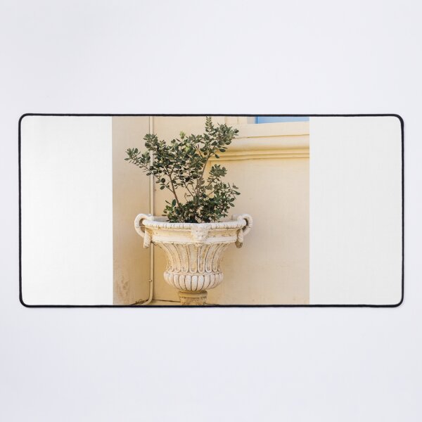 Item preview, Antique Stone Planter With Green Shrub Beside Pale Wall And Blue Window Frame designed and sold by Nmallia.