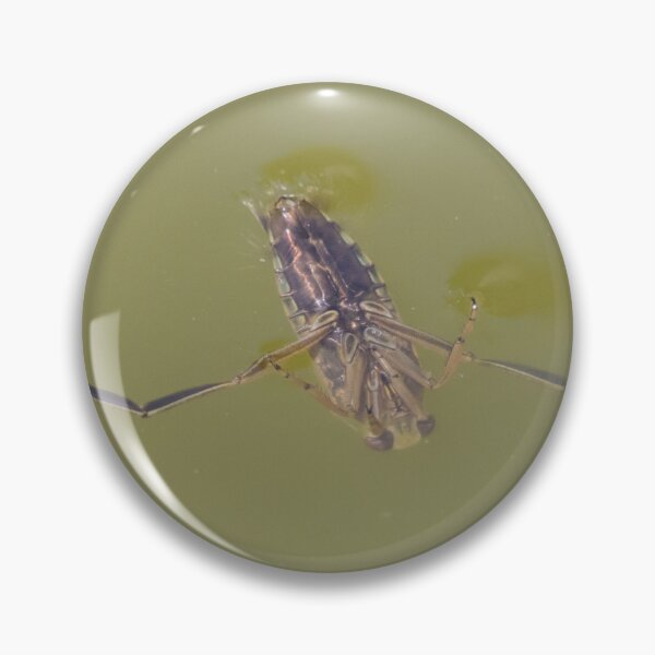 Item preview, Common Backswimmer designed and sold by LaurenTucker.
