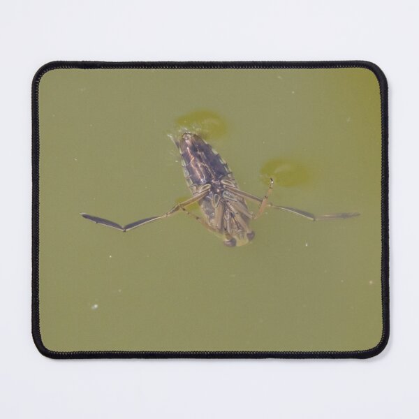 Item preview, Common Backswimmer designed and sold by LaurenTucker.
