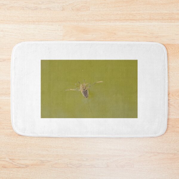 Item preview, Common Backswimmer designed and sold by LaurenTucker.