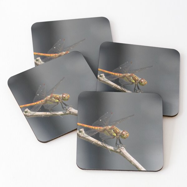 Item preview, Common Darter designed and sold by LaurenTucker.