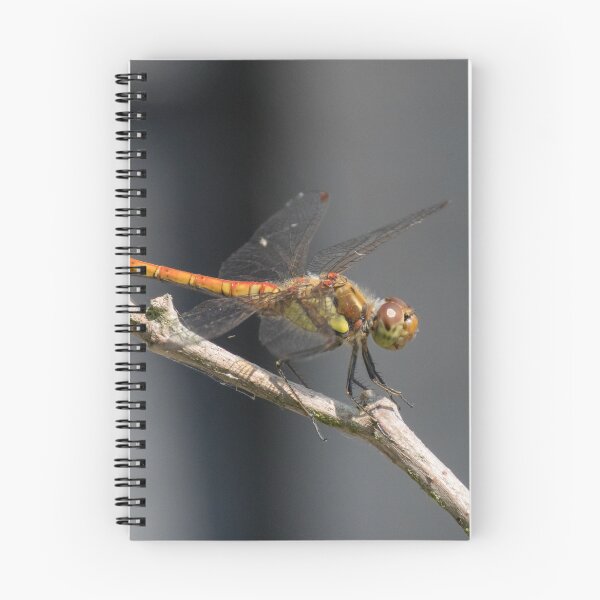 Item preview, Common Darter designed and sold by LaurenTucker.