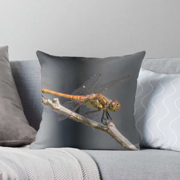 Item preview, Common Darter designed and sold by LaurenTucker.