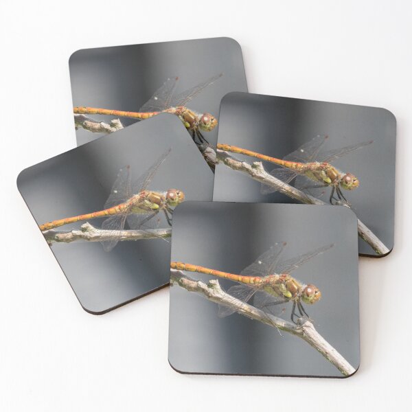 Item preview, Common Darter designed and sold by LaurenTucker.