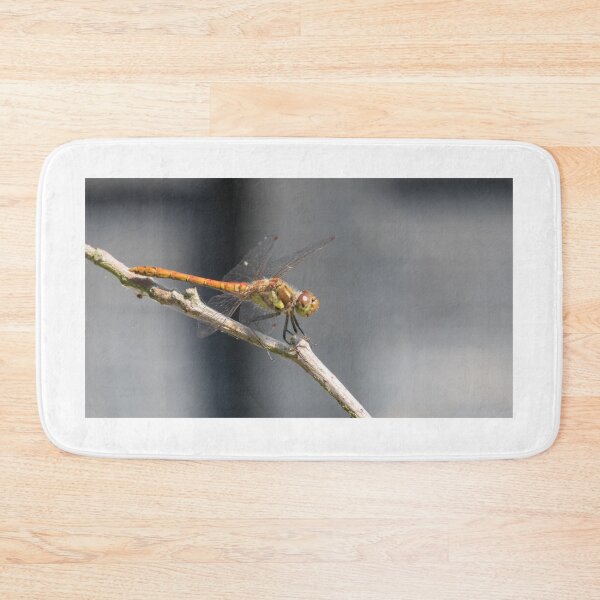 Item preview, Common Darter designed and sold by LaurenTucker.