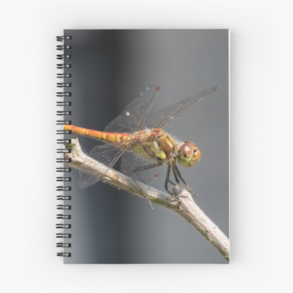 Item preview, Common Darter designed and sold by LaurenTucker.