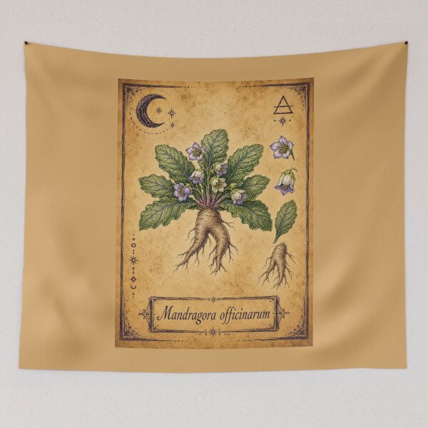 Item preview, Mandragora officinarum – Witchy Herbarium Collector’s Edition designed and sold by JOANNASKAH.