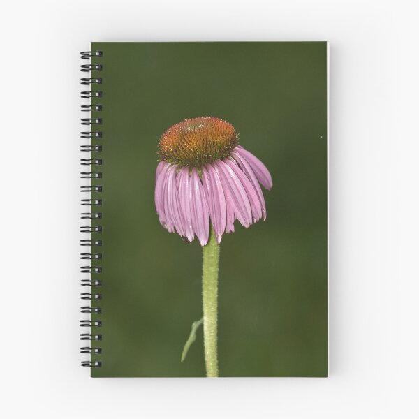 Item preview, Purple Coneflower on Black Vertical Macro Photography Art designed and sold by TathataPhotos.