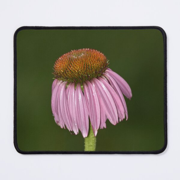 Item preview, Purple Coneflower on Black Vertical Macro Photography Art designed and sold by TathataPhotos.