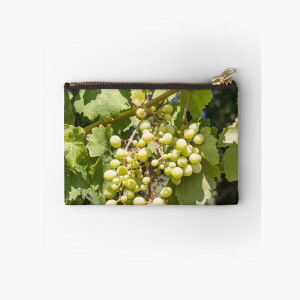 Item preview, Bunch of Green Grapes Hanging on Vine in Sunlit Vineyard Leaves Close-Up Summer designed and sold by Nmallia.
