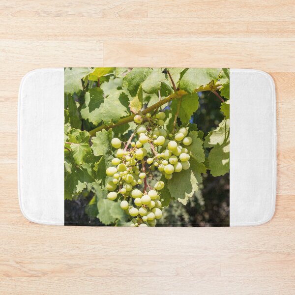 Item preview, Bunch of Green Grapes Hanging on Vine in Sunlit Vineyard Leaves Close-Up Summer designed and sold by Nmallia.