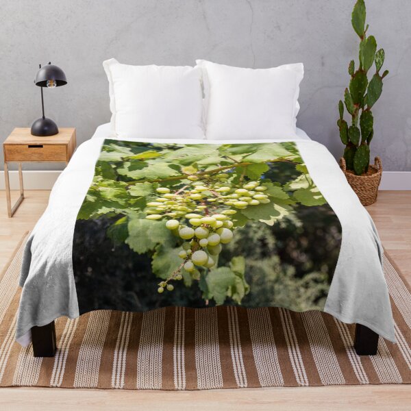 Item preview, Bunch of Green Grapes Hanging on Vine in Sunlit Vineyard Leaves Close-Up Summer designed and sold by Nmallia.