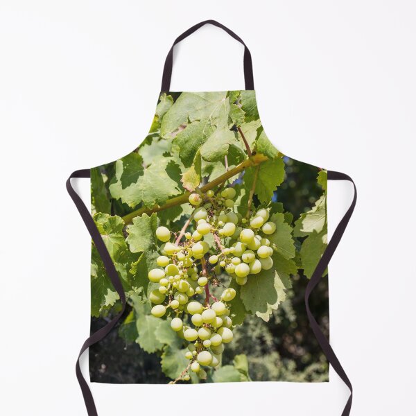 Item preview, Bunch of Green Grapes Hanging on Vine in Sunlit Vineyard Leaves Close-Up Summer designed and sold by Nmallia.