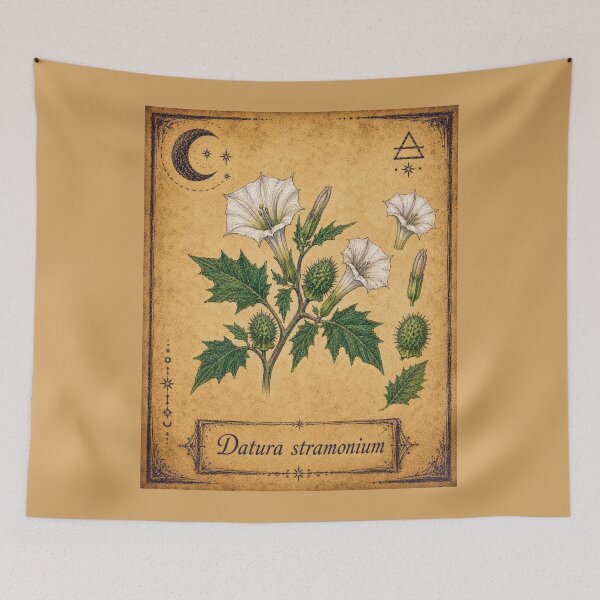 Artikelvorschau, Stechapfel (Datura stramonium) – Hexenherbarium-Sammleredition entworfen und verkauft von JOANNASKAH.