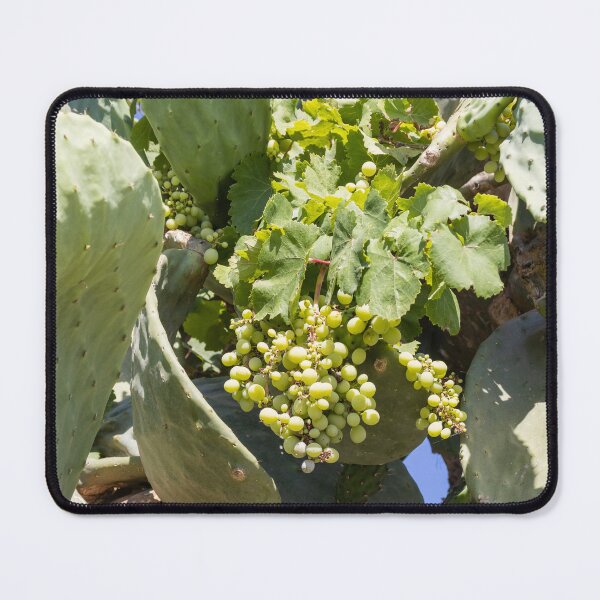 Item preview, Bunch of Green Grapes Hanging on Vine in Sunlit Vineyard Leaves Close-Up Summer designed and sold by Nmallia.