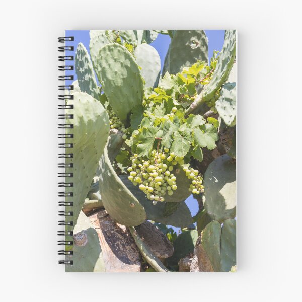 Item preview, Bunch of Green Grapes Hanging on Vine in Sunlit Vineyard Leaves Close-Up Summer designed and sold by Nmallia.