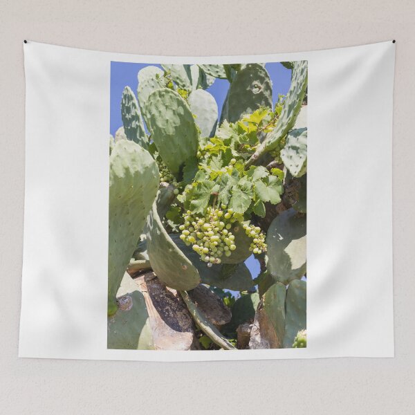 Item preview, Bunch of Green Grapes Hanging on Vine in Sunlit Vineyard Leaves Close-Up Summer designed and sold by Nmallia.