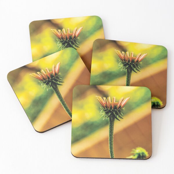 Item preview,  Almost A Cone Flower designed and sold by Kay Brewer.
