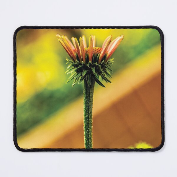 Item preview, Almost A Cone Flower designed and sold by Kay Brewer.