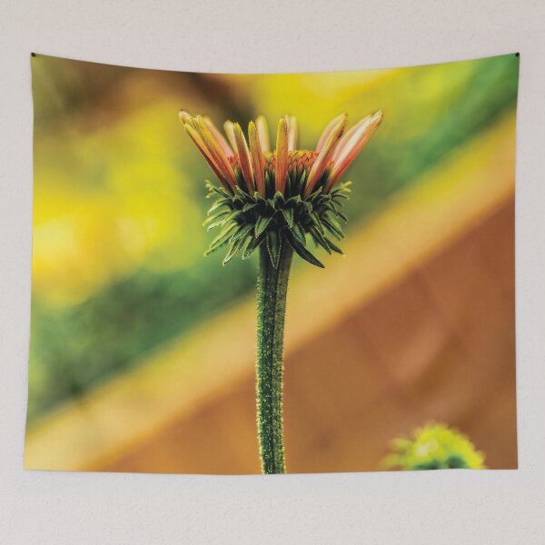 Item preview,  Almost A Cone Flower designed and sold by Kay Brewer.