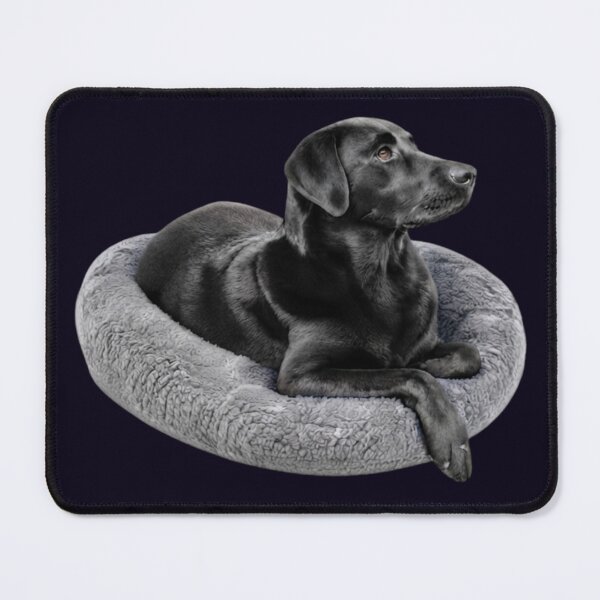 Item preview, BLACK LABRADOR RETRIEVER RESTING PORTRAIT - LOYAL and DEVOTED designed and sold by PRINTSCHARMINGM.
