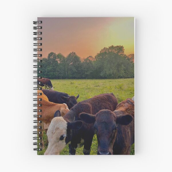 Item preview, Cows in a Sunset designed and sold by emclaire213.