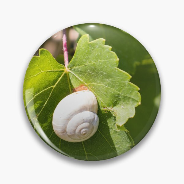 Item preview, White Snail On Green Leaf Close-Up Macro Photo Showing Spiral Shell And Garden Nature Details designed and sold by Nmallia.