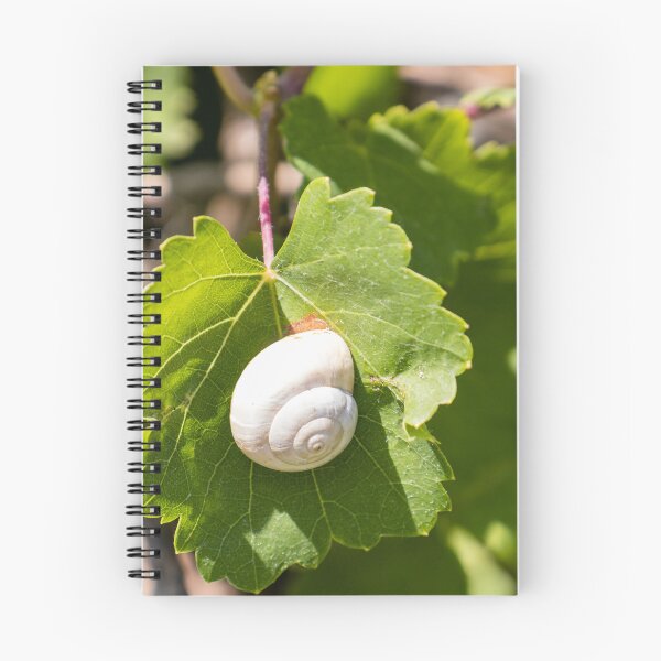 Item preview, White Snail On Green Leaf Close-Up Macro Photo Showing Spiral Shell And Garden Nature Details designed and sold by Nmallia.