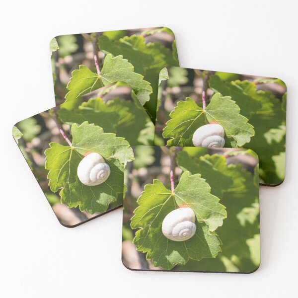 Item preview, White Snail On Green Leaf Close-Up Macro Photo Showing Spiral Shell And Garden Nature Details designed and sold by Nmallia.