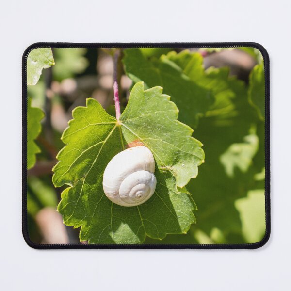 Item preview, White Snail On Green Leaf Close-Up Macro Photo Showing Spiral Shell And Garden Nature Details designed and sold by Nmallia.
