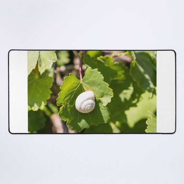 Item preview, White Snail On Green Leaf Close-Up Macro Photo Showing Spiral Shell And Garden Nature Details designed and sold by Nmallia.