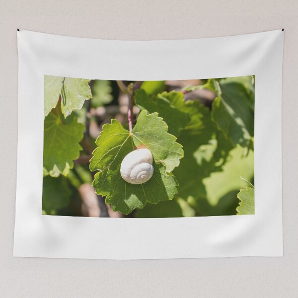 Item preview, White Snail On Green Leaf Close-Up Macro Photo Showing Spiral Shell And Garden Nature Details designed and sold by Nmallia.