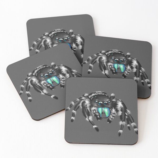 Item preview, Phidippus Audax Bold Jumping Spider designed and sold by Ashen Widow.