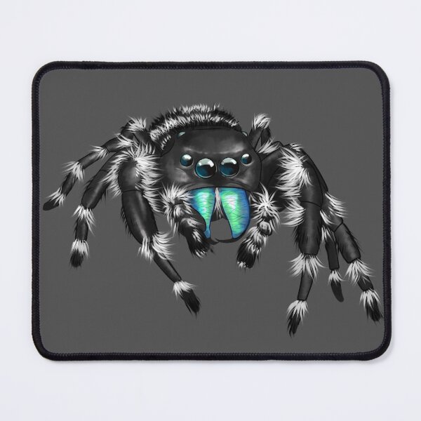 Item preview, Phidippus Audax Bold Jumping Spider designed and sold by Ashen Jumper.
