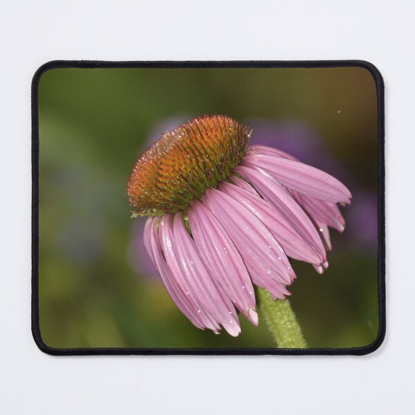 Item preview, Pink Echinacea in Garden Vertical Macro Photography designed and sold by TathataPhotos.