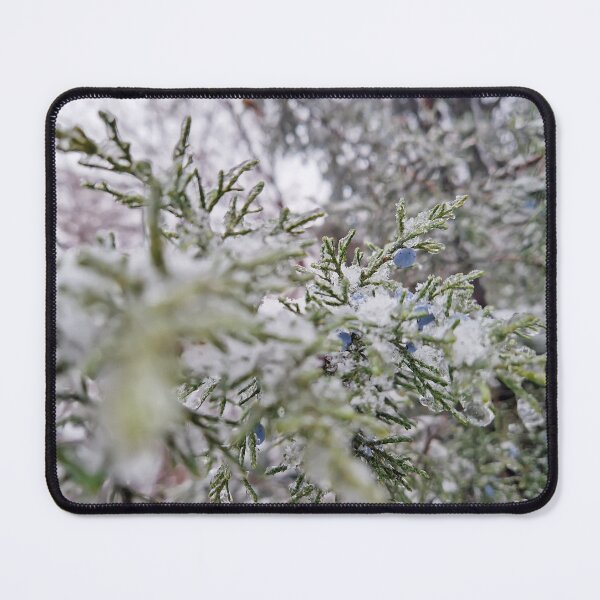 Item preview, frosted juniper branches designed and sold by psychoshadow.