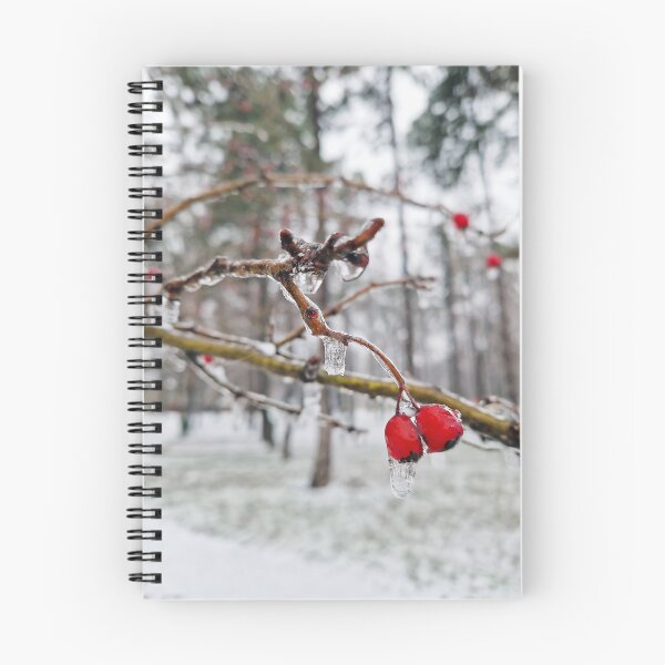 Item preview, frosted hawthorn berries designed and sold by psychoshadow.