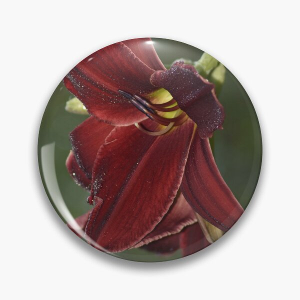 Item preview, Dramatic Burgundy Daylily Macro Photography designed and sold by TathataPhotos.