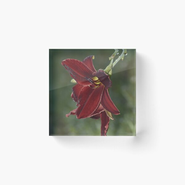 Item preview, Dramatic Burgundy Daylily Macro Photography designed and sold by TathataPhotos.