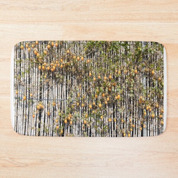 Item preview, Ripe Passion fruit Vine Climbing Bamboo Fence With Orange and Green Fruits in Garden designed and sold by Nmallia.