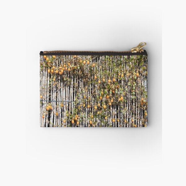 Item preview, Ripe Passion fruit Vine Climbing Bamboo Fence With Orange and Green Fruits in Garden designed and sold by Nmallia.