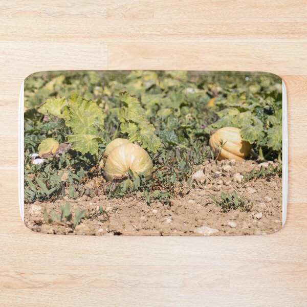 Item preview, Ripe Pumpkins On Vines In Sunny Farm Field Ready For Autumn Harvest And Market designed and sold by Nmallia.