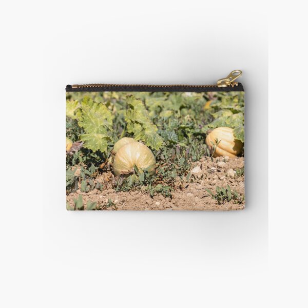 Item preview, Ripe Pumpkins On Vines In Sunny Farm Field Ready For Autumn Harvest And Market designed and sold by Nmallia.