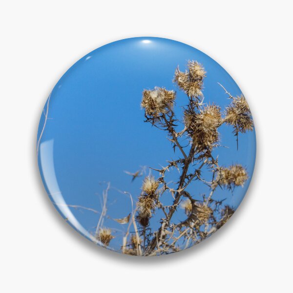 Item preview, Dry Thistle Seedheads Against Clear Blue Sky in Arid Wild Grass Field designed and sold by Nmallia.